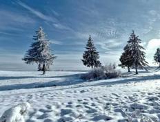 开云下载-英雄联盟全球縂(zǒng)决赛冠亚军决赛四川打响