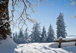 开云-中(zhōng)国电竞戰(zhàn)队夺得世(shì)界冠军