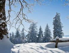 开云体育APP下载-电竞比賽(sài)吸引(yǐn)全球年轻观众