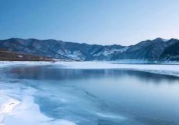 开云平台-网球新星夺得大满贯冠军