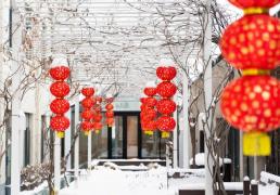 开云体育在线-亮點(diǎn)「一月· 岁始(shǐ)」精(jīng)彩活动集锦来啦~