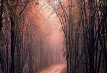 开云体育在线-全民健身燃激情 合阳县羽毛(máo)球赛事(shì)圆满收官