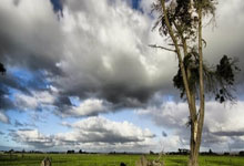 开云体育APP下载-校园电竞选手，请先对学业负责