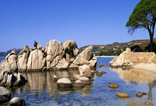 开云-（粤港澳(ào)全运會(huì)）樊振東(dōng)廻(huí)应与马龙王楚钦同组：比赛要一(yī)場(chǎng)一(yī)場(chǎng)打