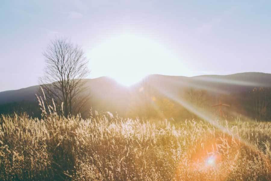 开云下载-中国电競(jìng)队在亚运会摘得四金