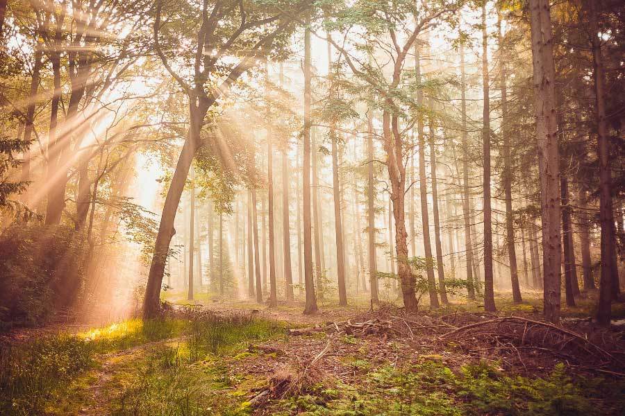 kaiyun-英雄联盟四川总決(jué)赛全球顶尖战队对決(jué)