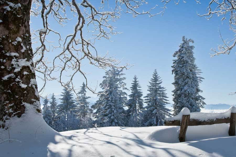 开云体育APP下载-电竞比賽(sài)吸引(yǐn)全球年轻观众