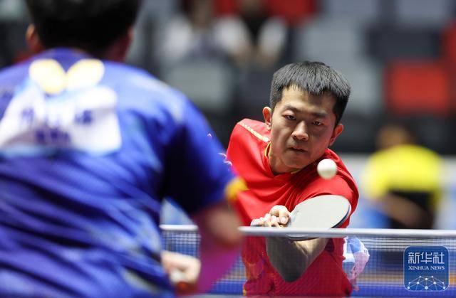 开云体育APP下载-全运会丨林诗栋晋级乒乓球男单决賽(sài)